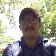 algis31