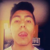 chris593