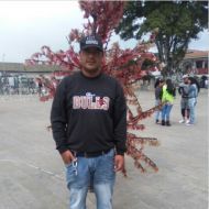 alexluis01