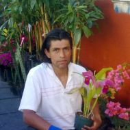 gonzalom